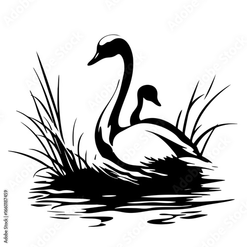 Elegant black vector illustration of a mature swan and a cygnet in natural habitat showcasing their bond and grace in a serene environment