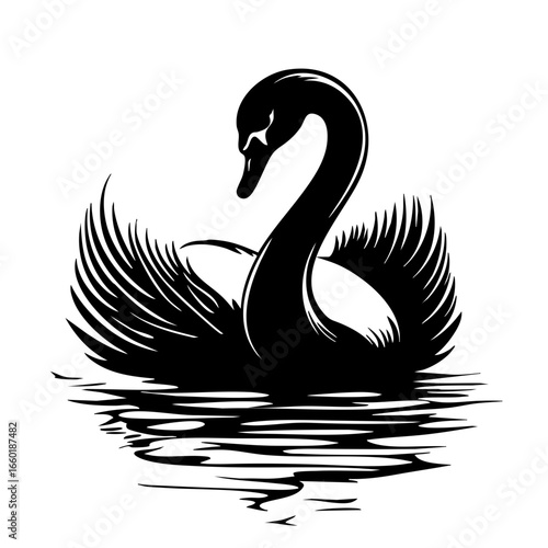 Elegant black swan gliding gracefully on water with outstretched wings, showcasing its beauty and poise in a serene environment