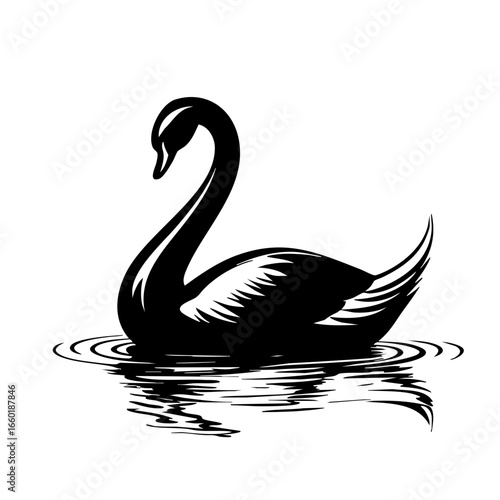 Elegant black swan gliding across rippled water surface in a tranquil setting