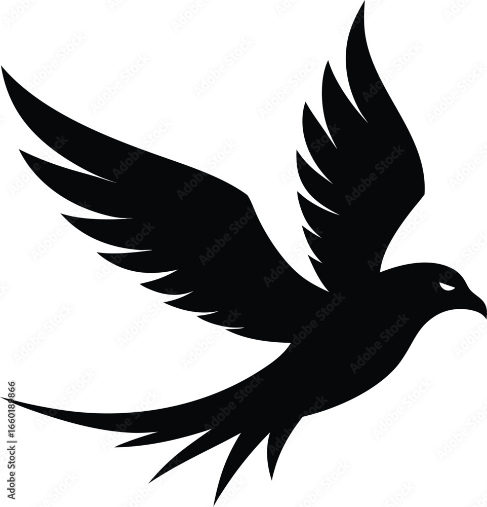 Fototapeta premium Bird flying silhouette in black and white