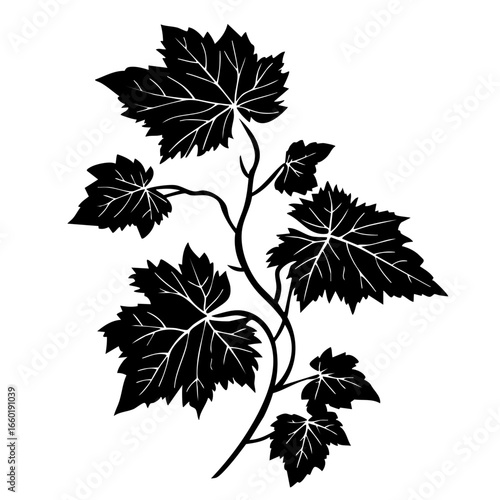 Detailed black vector illustration of a leafy vine with intricate leaf patterns and elegant swirling branches