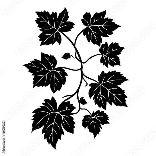 Detailed black vector illustration of climbing vine with broad leaves showcasing nature's intricate design