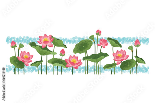 Watercolor Pink Lotus Flower Border Illustration