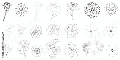 Image Processing Complete
