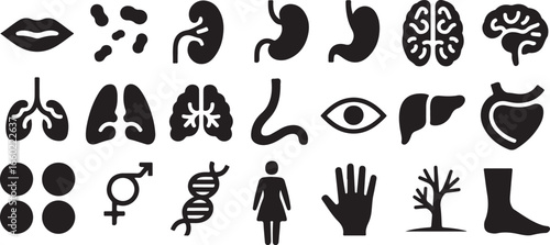 Black and white human anatomy icons set including lips lungs brain heart stomach eye and other body parts