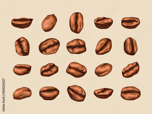 cappuccino arabica beans coffee americano barista mocha caffeine latte robusta vector breakfast art