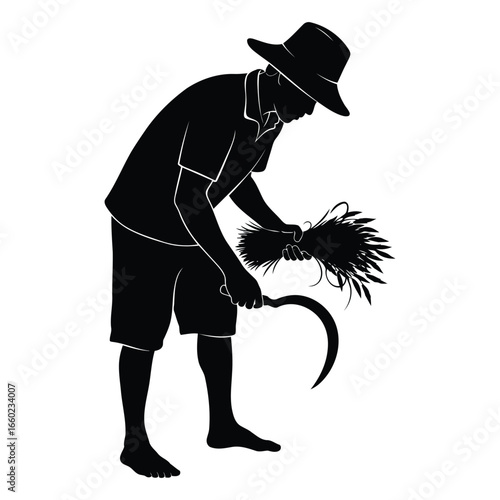 Silhouette of a farmer harvesting rice,  black and white illustration,  agricultural labor,  rural scene,  simple graphic design,  harvesting season,  traditional farming,  hard work,  agriculture con