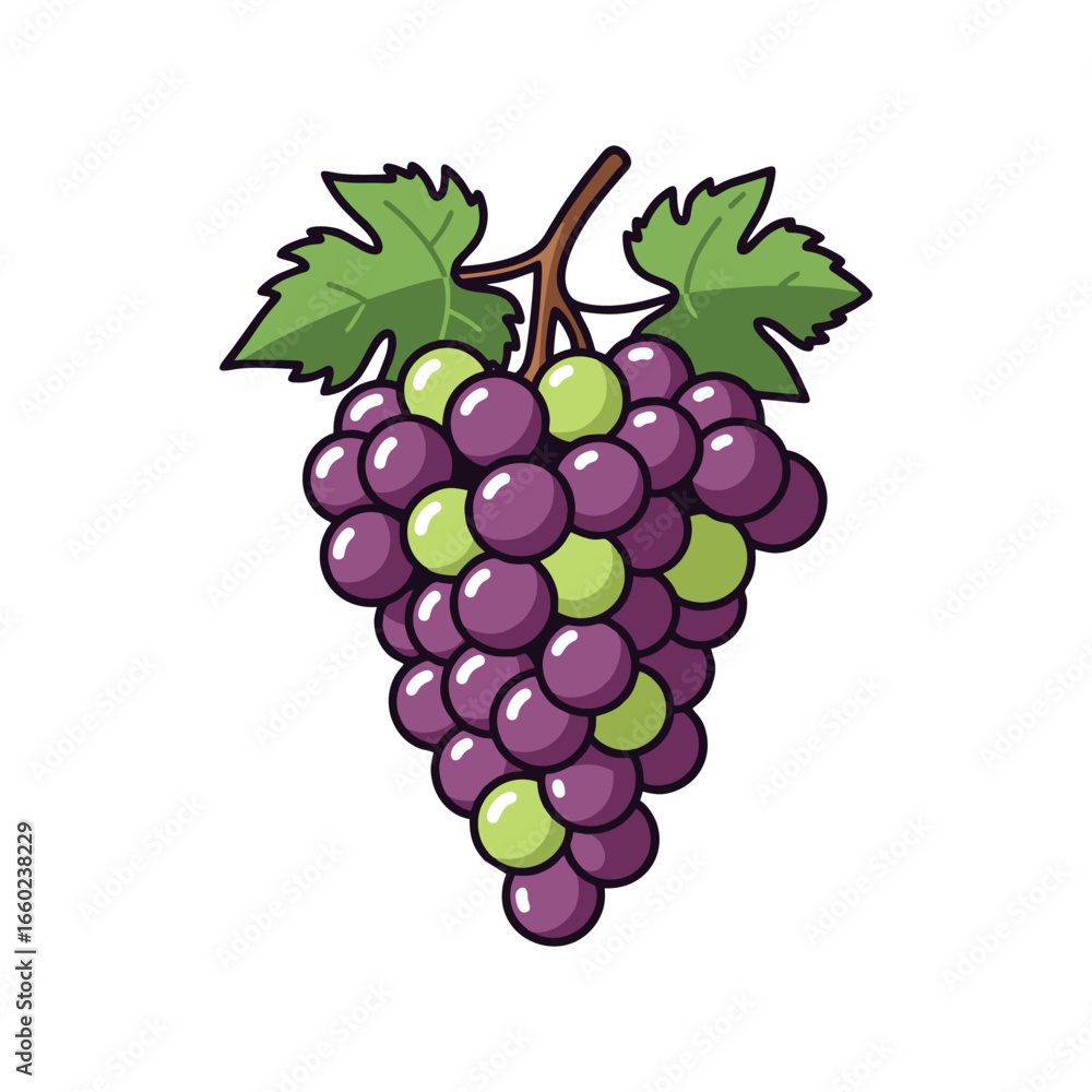 Fototapeta premium bunch of grapes isolated on white