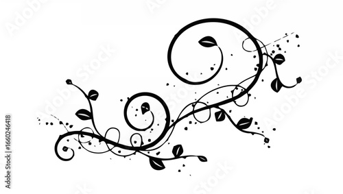 Swirl floral ornament isolate...