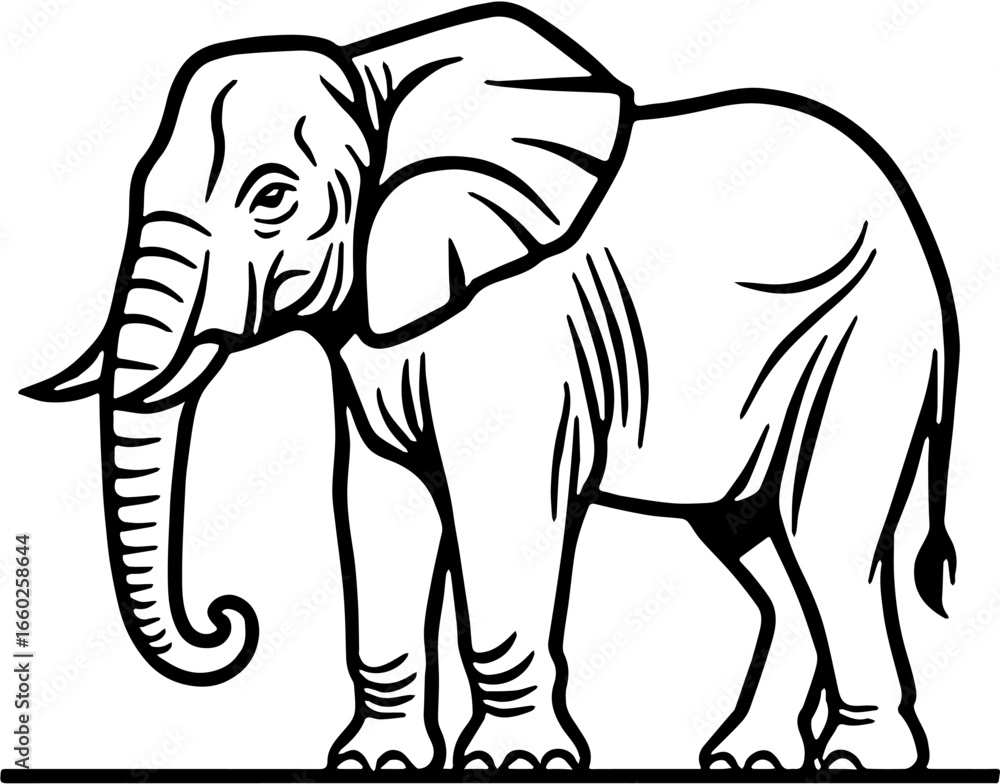 Obraz premium A black and white line art drawing of an elephant standing on the ground
