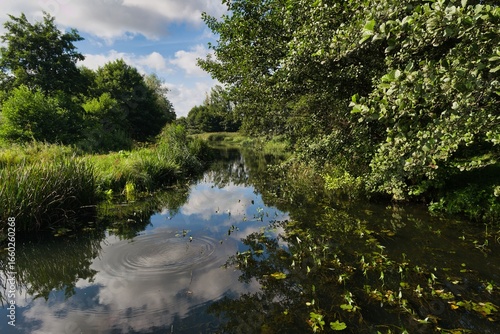 Reflections of nature in a tranquil river surrounded by lush greenery and bright clouds in the daytime