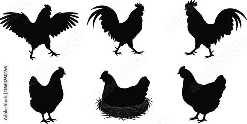 Chicken and rooster silhouette set, farm poultry vector collection, nesting hen, black isolated birds, rural livestock, agriculture animal illustration