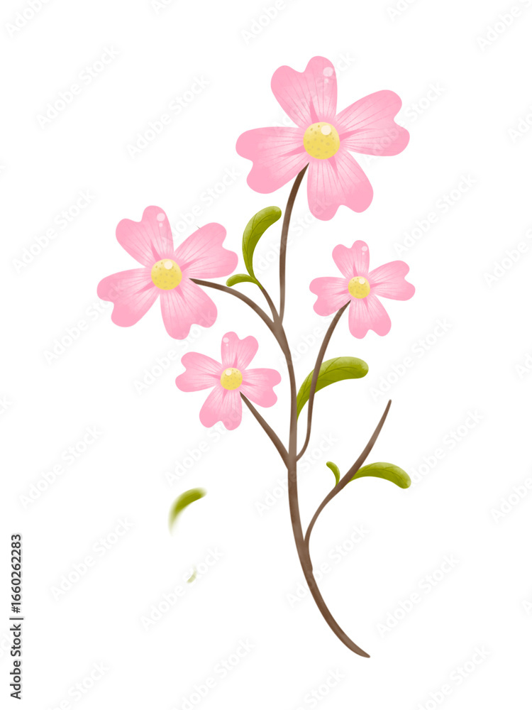 Fototapeta premium Colorful flower elements, Pink flowers