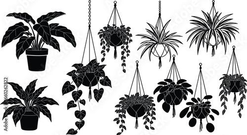 Hanging and potted plant silhouette set, indoor greenery vector collection, black botanical icons, home decor, foliage illustration, houseplant design