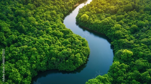 A stunning aerial view of a dense green forest with a winding blue river, creating a beautiful and peaceful natural landscape.