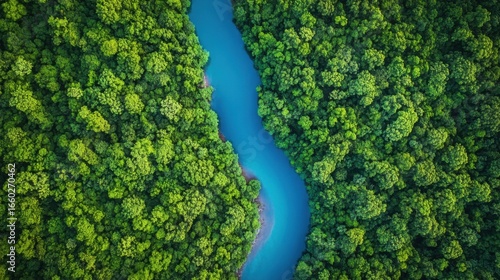 A breathtaking aerial view of a winding blue river flowing through a lush green forest, creating a vibrant and natural landscape.