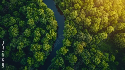 A stunning aerial view of a winding river flowing through a green forest at dawn, with soft, natural light illuminating the landscape.