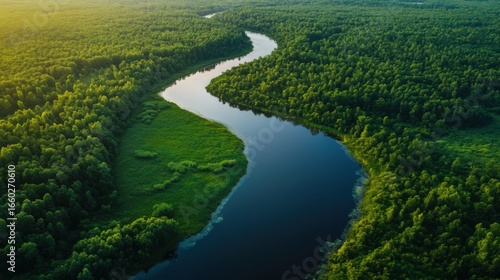 An aerial view of a vibrant green forest with a winding, snake like river flowing through it, creating a natural and serene landscape.