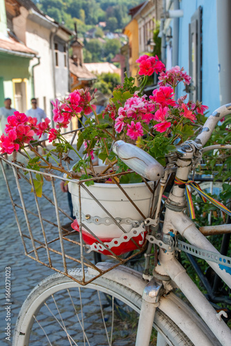 bicycle and flowers