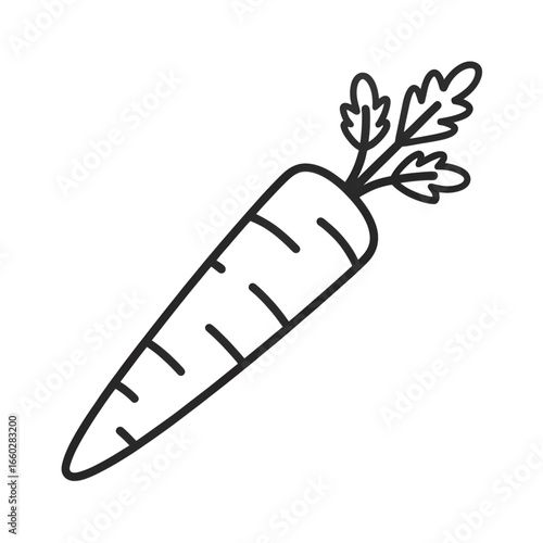 Simple black and white carrot drawing with outline style – stock vector icon in line style