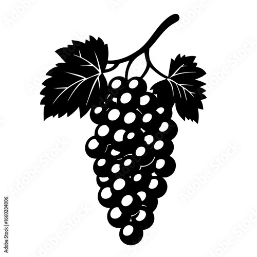 Grapes hanging from a vine with detailed leaves, showcasing their plumpness and natural form in a simple black vector design