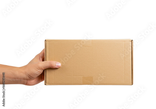 Wallpaper Mural Hand holding a cardboard box isolated on transparent background Torontodigital.ca
