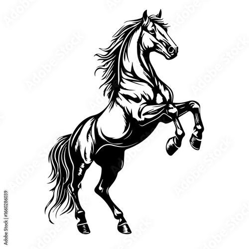 Black vector illustration of a majestic horse rearing on its hind legs showcasing strength and grace in motion