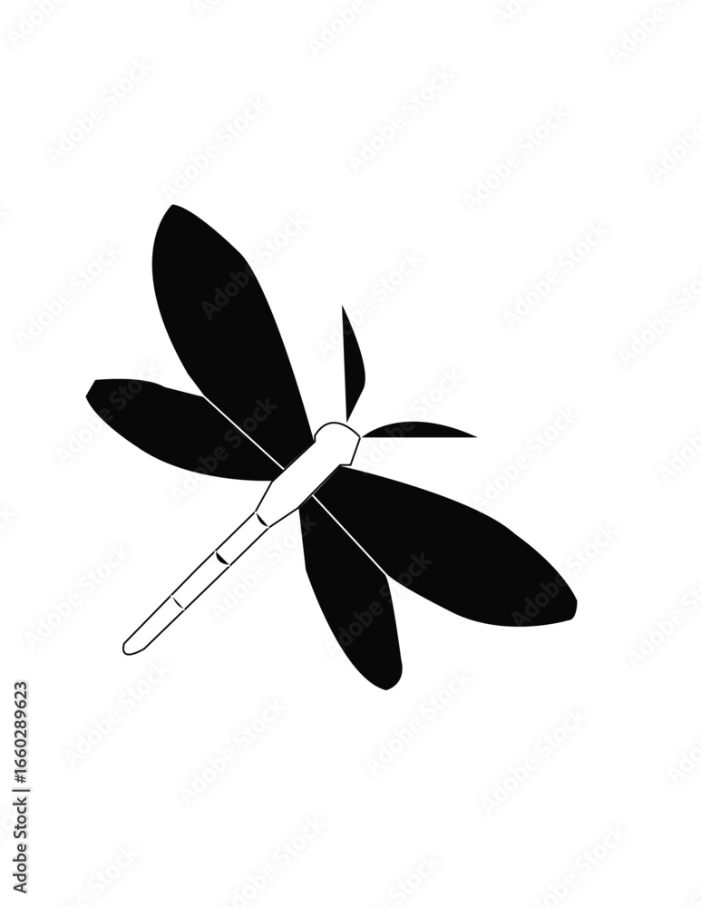 vector illustration of dragonfly vector illustration of dragonfly