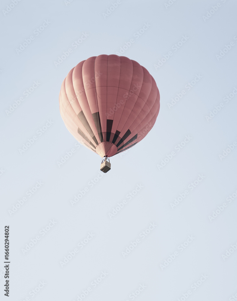 Fototapeta premium Hot air balloon flies in the sky