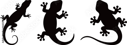 Collection of three gecko or lizard silhouette vector icons in different poses, showcasing their unique body shapes.