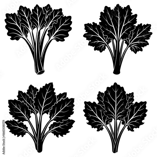 Four black and white vector illustrations of leafy plants with detailed leaf vein patterns arranged nicely