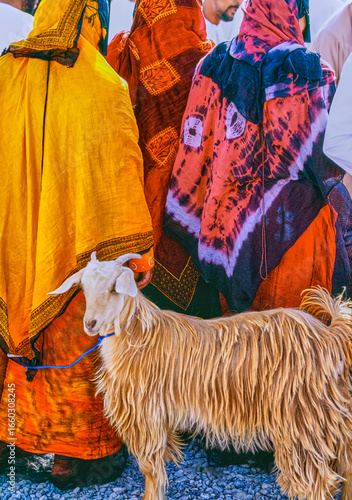 Oman;colors,architecture and nature