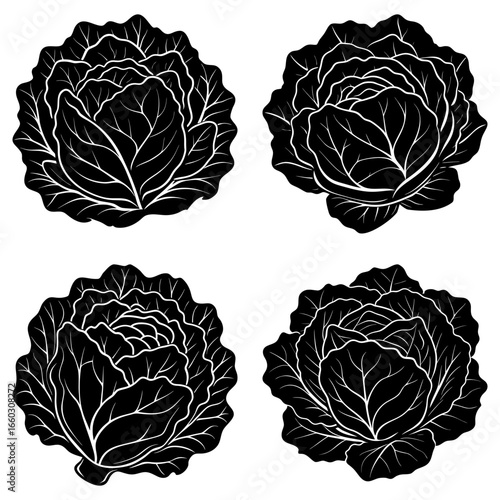 Four black and white cabbage heads with detailed leaf patterns in a simple vector illustration style