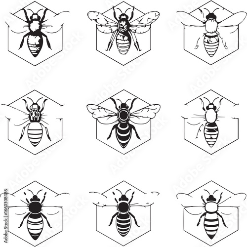 Honeycomb Crunch Blast Black Line Editable Icons