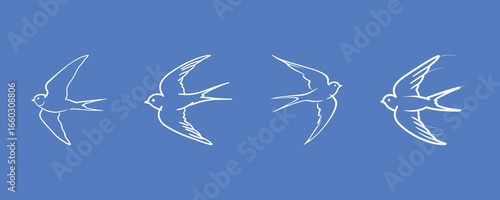 Set of four simple swallow bird flight illustrations in a continuous, flowing line art style.