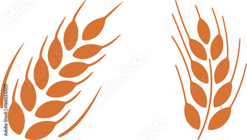 Two illustrations of wheat ears or grains in a simple orange and white style. A graphic icon for food, agriculture, or farming concepts.
