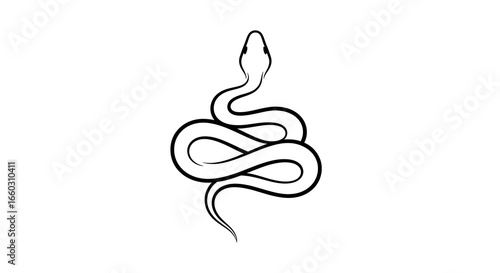 Coiled Snake Illustration Black and White Minimalist Design for Tattoo
