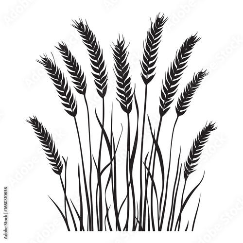 Natural Grass Silhouette Vector Graphic