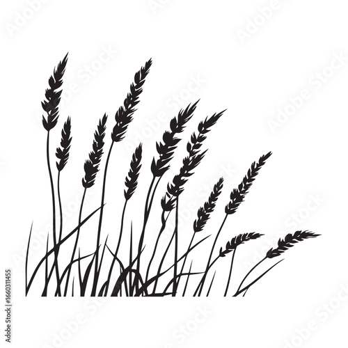 Natural Grass Silhouette Vector Graphic
