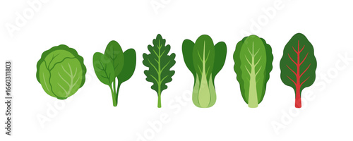 Fresh leafy greens collection featuring six varieties in vibrant flat design