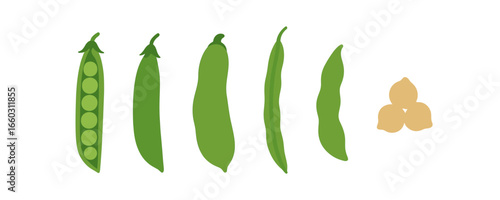 Variety of green pea pods and chickpeas in flat design on white background