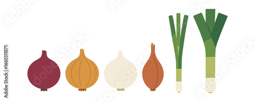Colorful vegetables set: onions, leeks in flat style