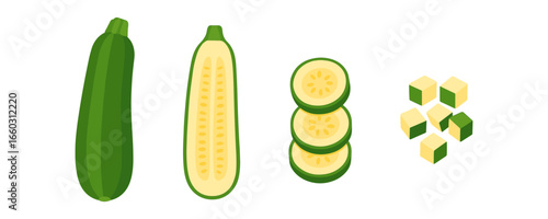 Fresh zucchini illustration with whole, halved, sliced, and diced variations