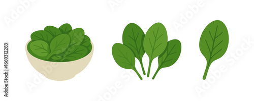 Fresh spinach variations: bundle, single leaf, bowl, and leaf cluster