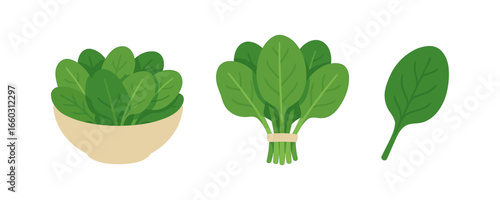 Fresh spinach set in flat style featuring leaves and bunches