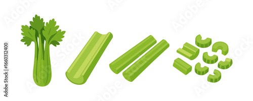 Celery set: whole, sliced, and chopped green stalks in flat design