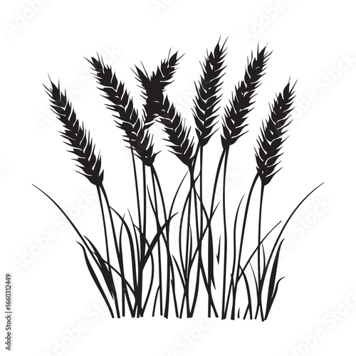 Natural Grass Silhouette Vector Graphic