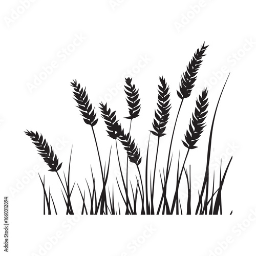 Natural Grass Silhouette Vector Graphic