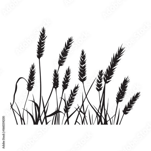 Natural Grass Silhouette Vector Graphic