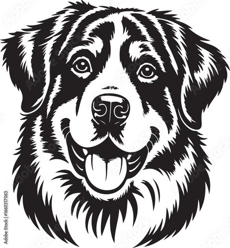Bernese Mountain Dog Face Vector Illustration with Detailed Fur Texture Art